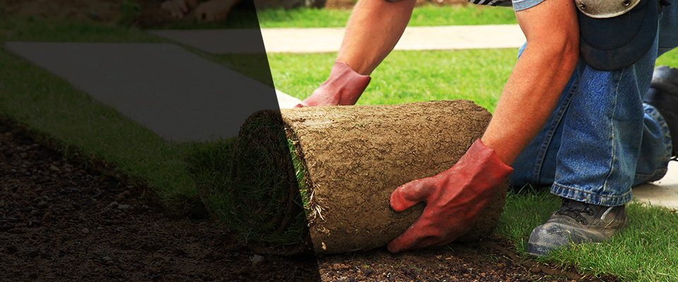Tappahannock Landscapers